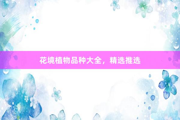 花境植物品种大全,精选推选