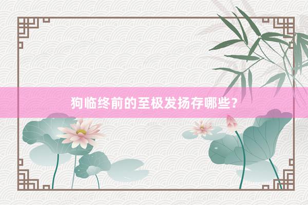 狗临终前的至极发扬存哪些？