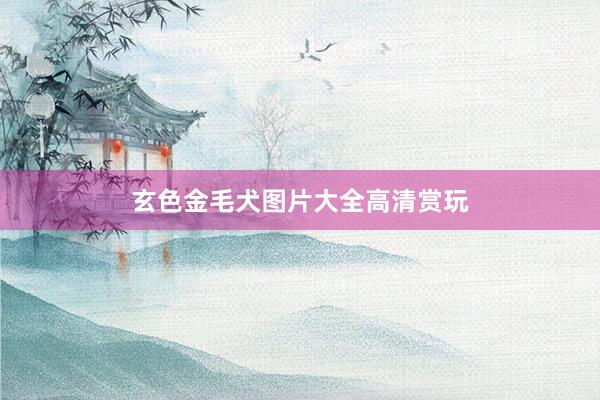 玄色金毛犬图片大全高清赏玩