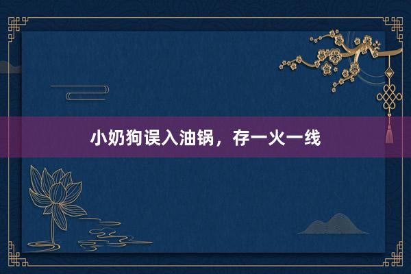 小奶狗误入油锅，存一火一线