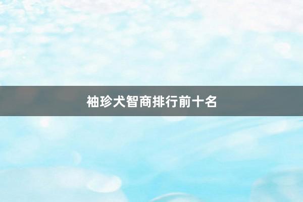 袖珍犬智商排行前十名